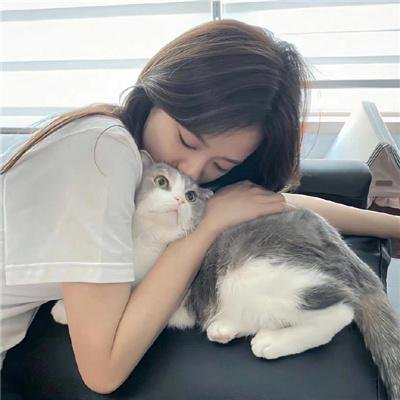 威尼斯的阿历克斯